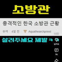 얼마나 옵창이어야 김마르가 수출해감? ㅋㅋ