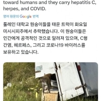 재난 영화 인트로