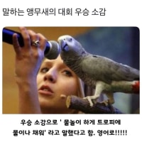 Talking parrot's thoughts on winning a competition