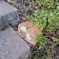 오늘도 고생한 옵붕이들을 위해