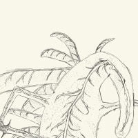 그림 뉴비 엘든링 그려봤어요