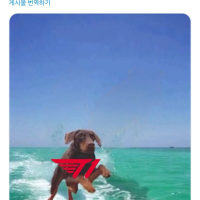 G2 공트) 또또 갱신된 세얼간이