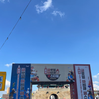 내일 할거 없는 옵붕이들