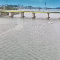 옵부이 마실가는중