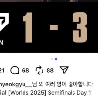 군대에 있는 알파카 근황