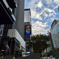 메지트 다녀온 후기