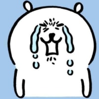 시험 마친 후 우울증을 치료하는법..