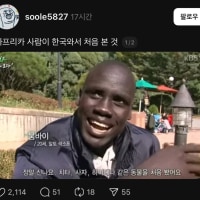 아프리카인이 한국에서 처음본것
