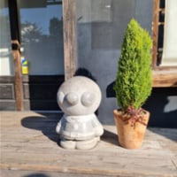 옵부이 일본 후쿠오카 다녀왔는데