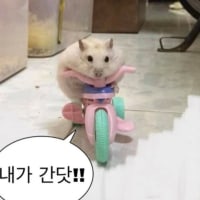 월급이 스쳐지나간다