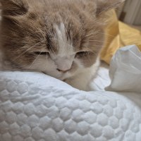 나는 신이 밉다