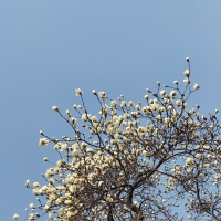 멘탈 잡는 법 별거 없다.