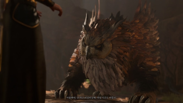 20251105035620.0.6137697.jpg?image=w_700,c_limit,fl_lossy