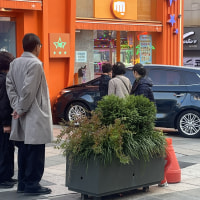 오늘도 차량 사고 봄