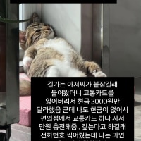 님들 저 사기 당한거임? 아니면 좋은 짓 한거임?