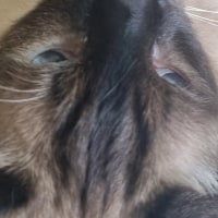 길 가다가 누가 꼭 안아주면 좋겠다