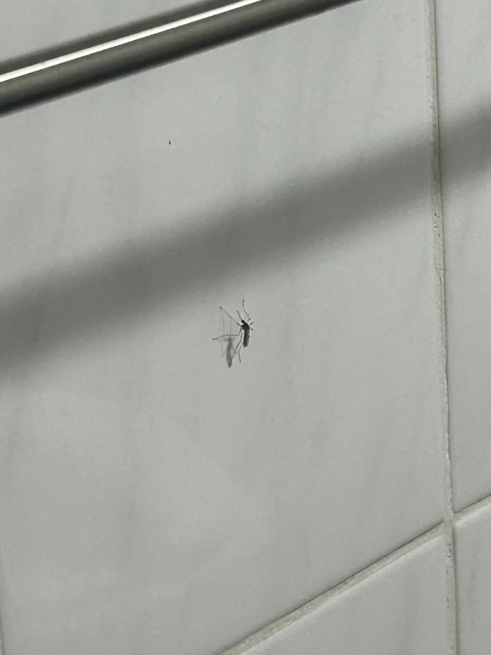 20251107131025.0.309794.jpg?image=w_700,c_limit,fl_lossy