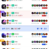 원딜로 올라가기 어렵다