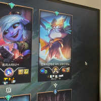 고양이 왤케많아