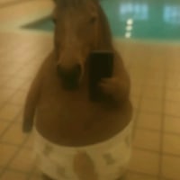 피해자를 조롱하는 문화