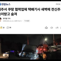 새벽배송 밑작업 시작 ㄷㄷ;;