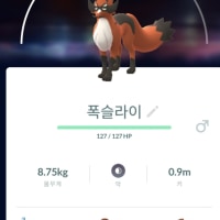 포켓몬하는데 이상한 숫자가