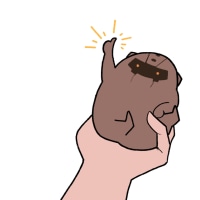 축하드립니다. 당신은 따봉노틸을 만났습니다