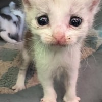 학원수업 정신나갈거가테