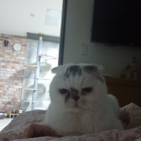 '이리와서 팔 좀 뻗어봐라'