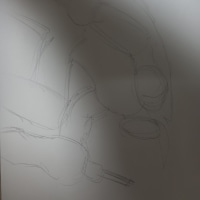 뭘 그리는 걸까요(정답공개)