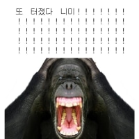 또 터졌다 니미!!!!!!!!!!!!