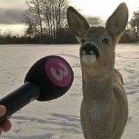 사람 많은데 부탁 하나만 할게요오