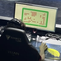 사과게임 많이 하면 프로 될수 있나요?