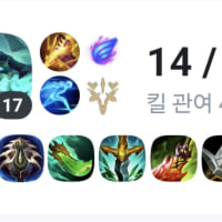 헤카림 사용설명서(저티어용)