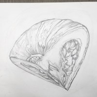 호호호호호박박박박박