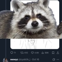 블랙워싱 하는놈+지지하는놈들 다 주겨벌랑 하고싶다