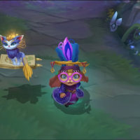 와리 노라 출시 확정