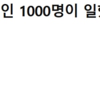 인도에선 AI가 인간때문에 직장을 잃습니다