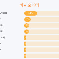 나도 롤챔 닮꼴 해봤다