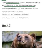 장수말벌 작살내는 천적 BEST5