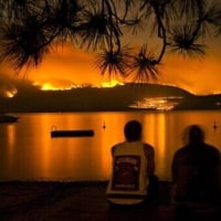 양성소는 참 평화롭네요