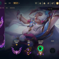 롤하면서 부린 가장 쓸데없는 사치