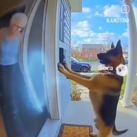 ???:여목내는법을 배웠다고 자랑하겠다!