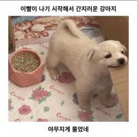 쵸 카와이