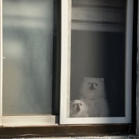 ㅋㅋ 이새끼들이