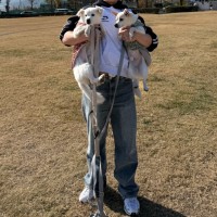 댕댕이 산책 갔다 옴