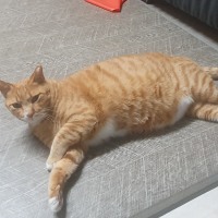 지인이.. 이상한 애를 맡겼다..