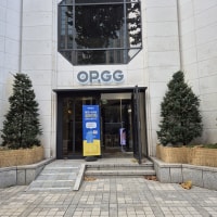 본인 옵지 본사 인증