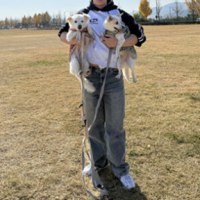 댕댕이 짤 투척 하구 자러 감