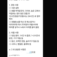 생일 기념으로 뭘 할까 생각하다가